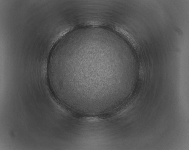 X0000116630394200912241816