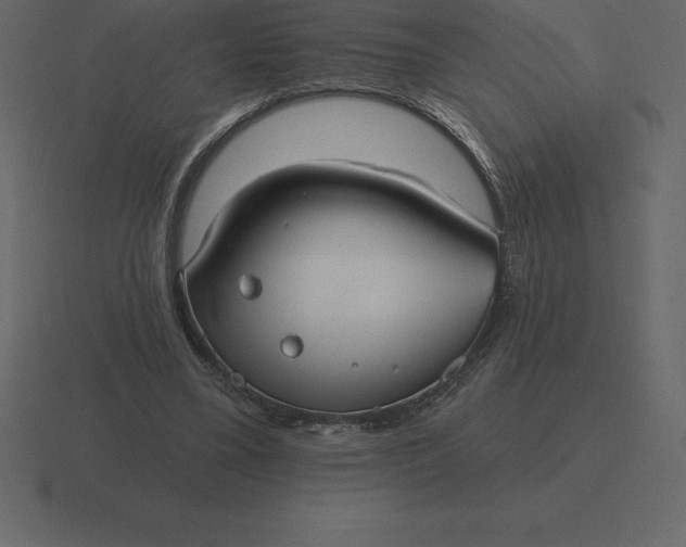 X0000116630395200912241816