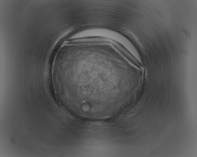 X0000116630396200912241816