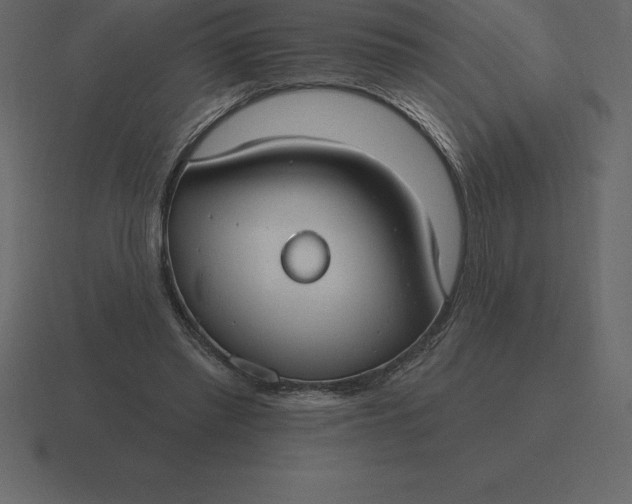 X0000116630397200912241816