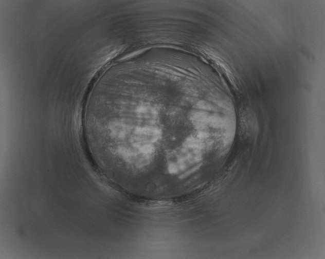 X0000116630398200912241816