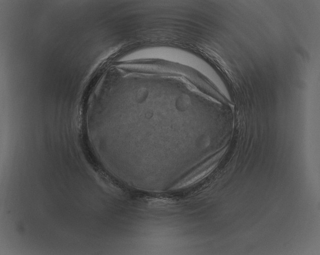 X0000116630400200912241816