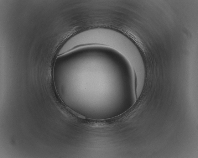 X0000116630401200912241816