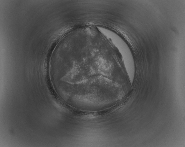 X0000116630402200912241816