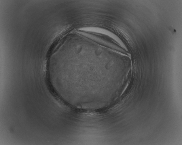 X0000116630404200912241816