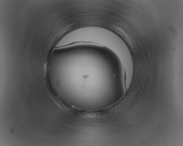 X0000116630405200912241816