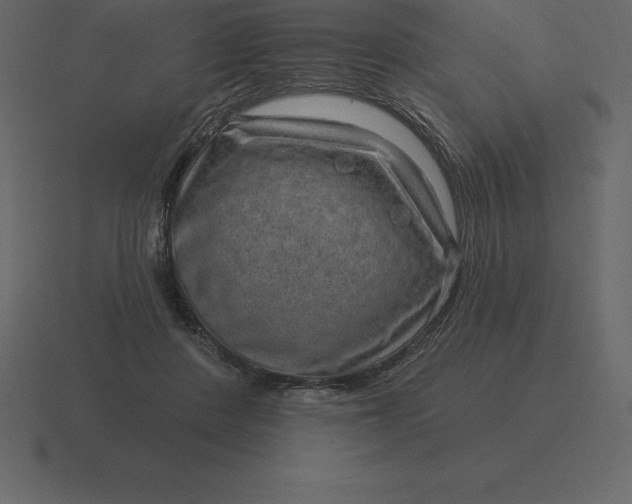 X0000116630408200912241816