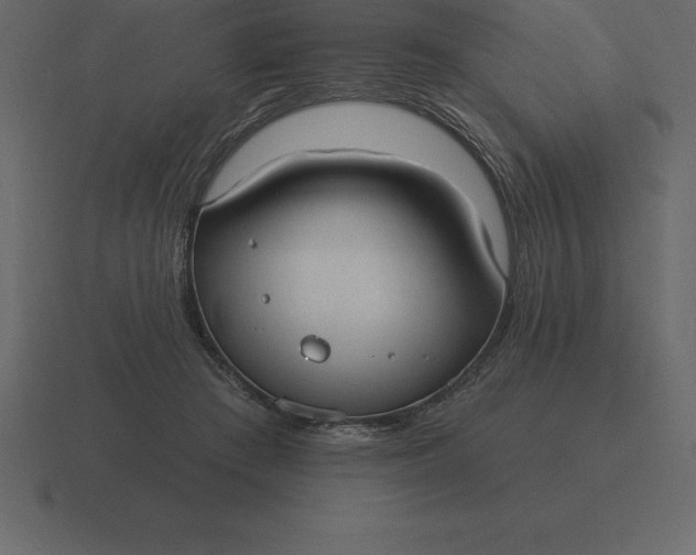 X0000116630409200912241816