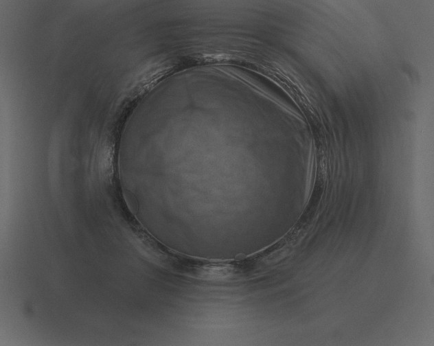 X0000116630410200912241816