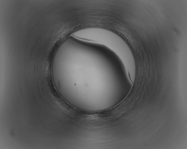 X0000116630411200912241816