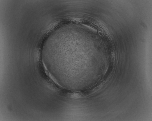 X0000116630412200912241816