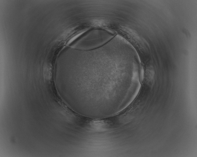 X0000116630413200912241816