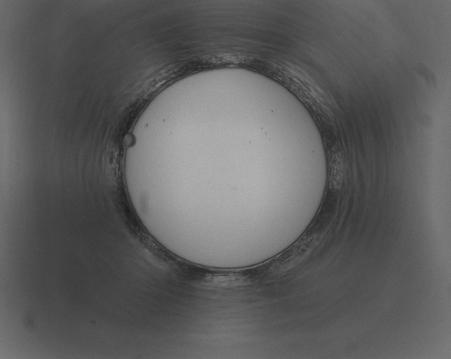 X0000116630414200912241816