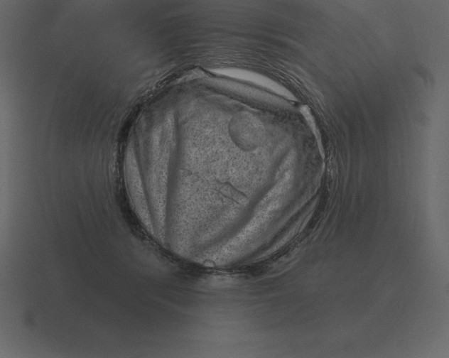 X0000116630416200912241816