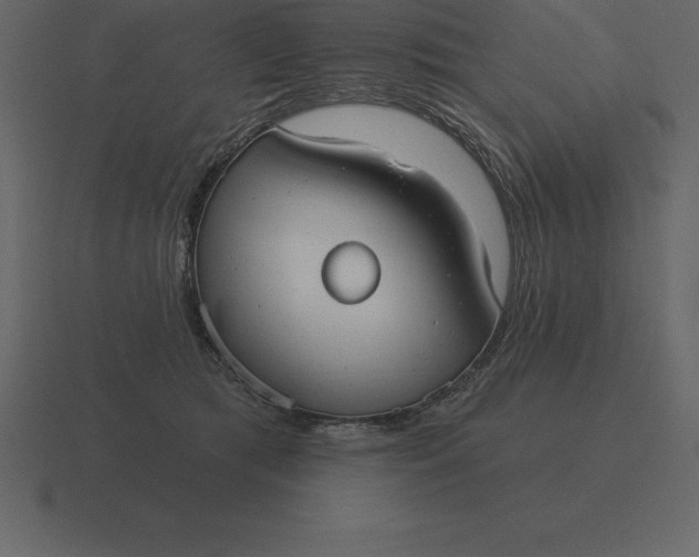 X0000116630417200912241816