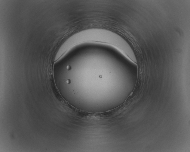 X0000116630419200912241816