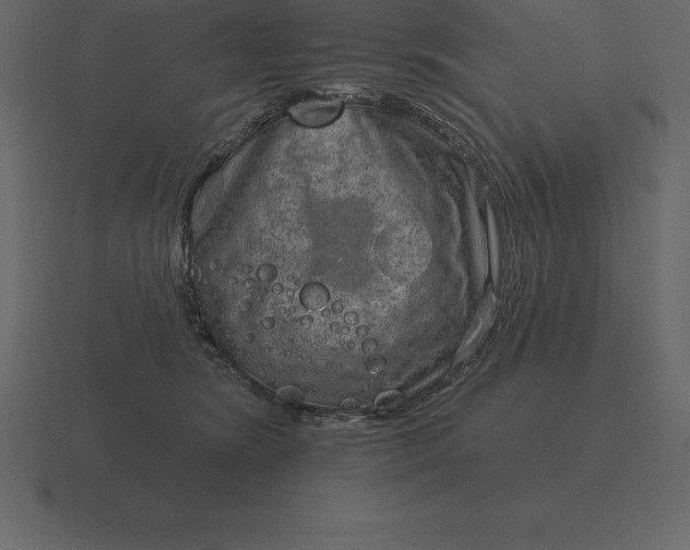 X0000116630420200912241816