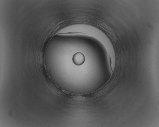 X0000116630421200912241816