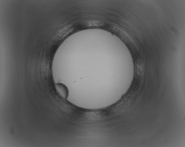 X0000116630422200912241816