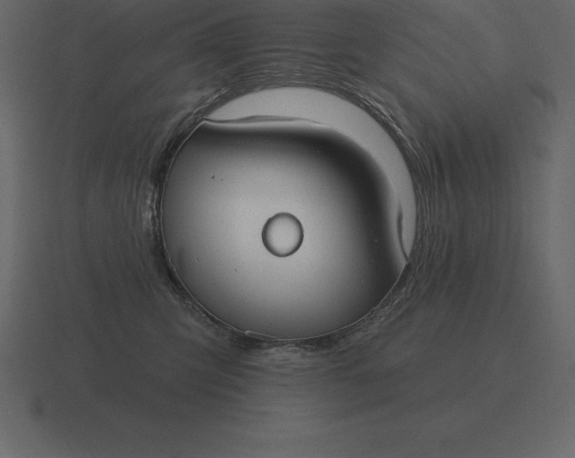 X0000116630423200912241816