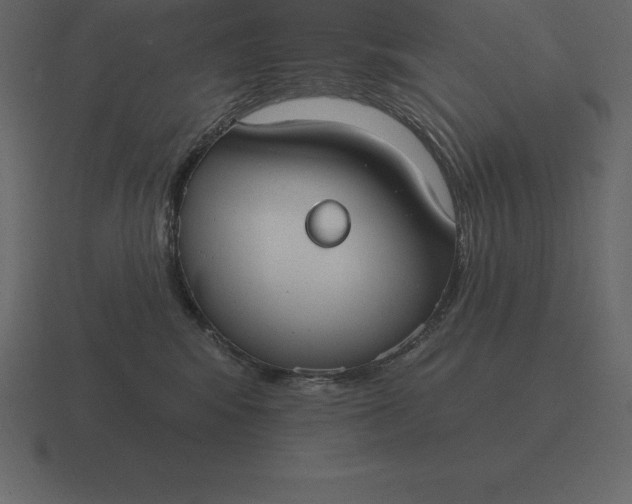 X0000116630424200912241816