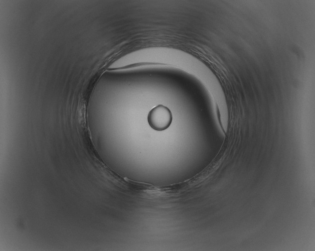 X0000116630425200912241816