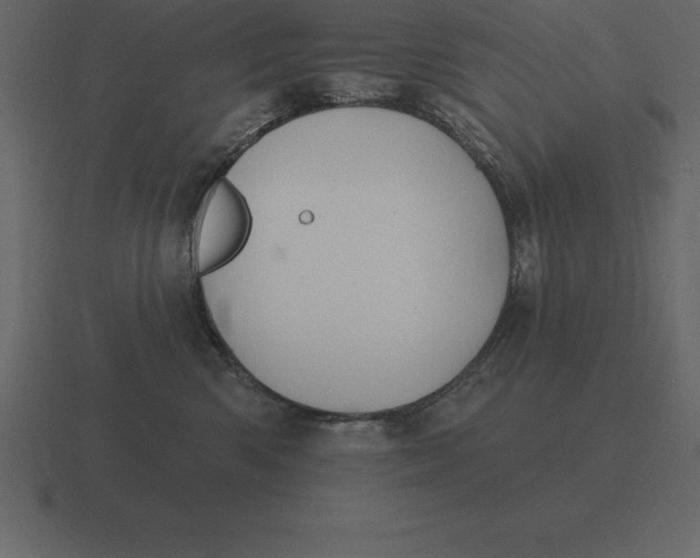 X0000116630426200912241816