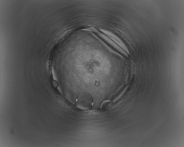 X0000116630428200912241816