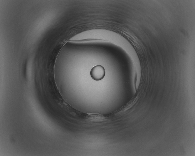 X0000116630429200912241816