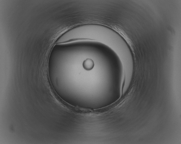 X0000116630433200912241815