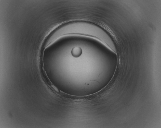 X0000116630436200912241815