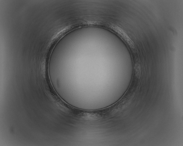 X0000116630442200912241815