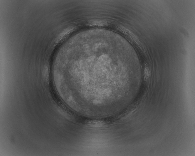 X0000116630444200912241815