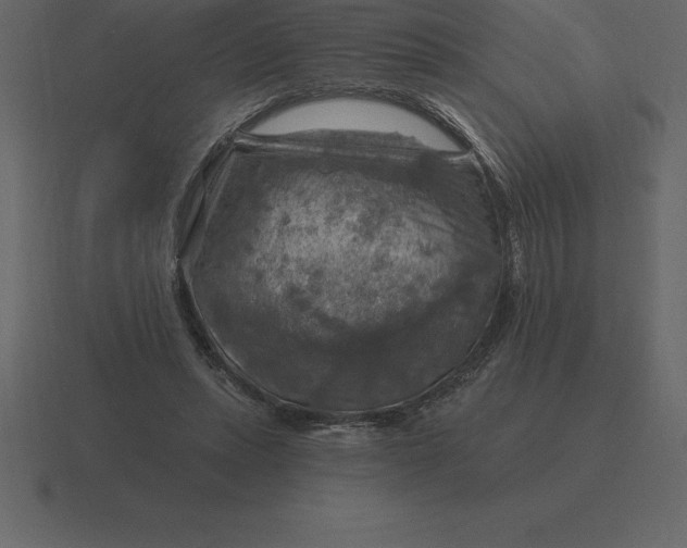 X0000116630447200912241815