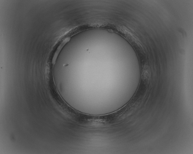 X0000116630448200912241815