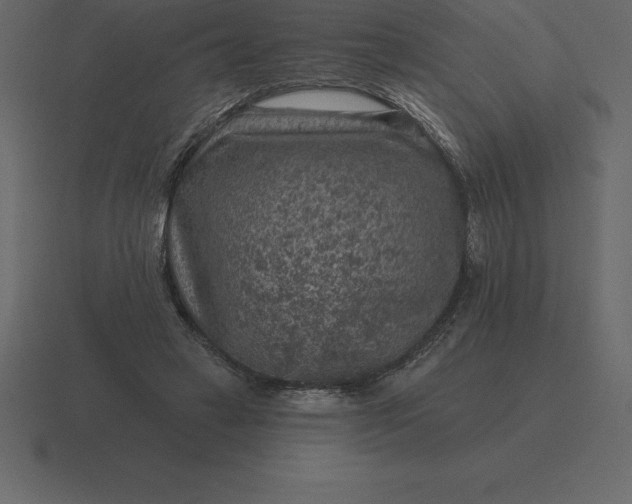 X0000116630449200912241815