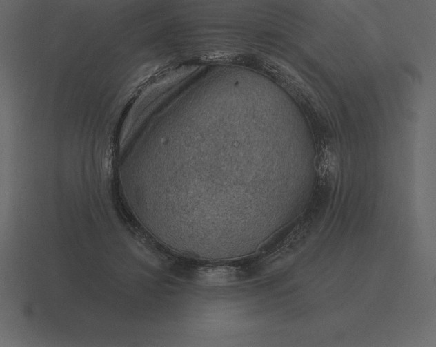 X0000116630452200912241815