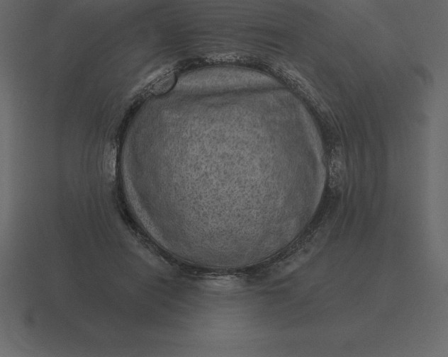 X0000116630454200912241815