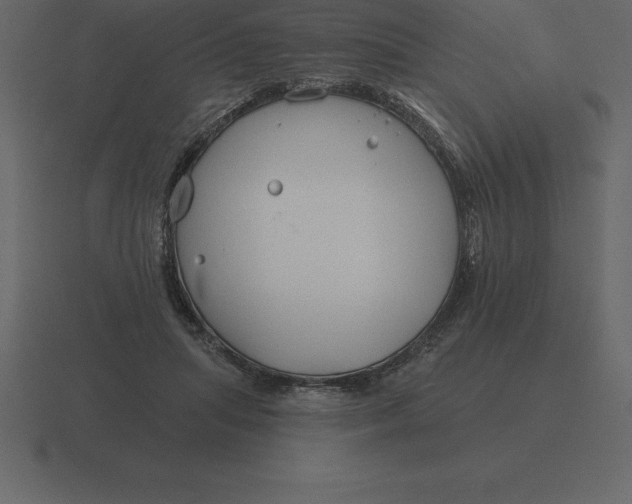 X0000116630455200912241815