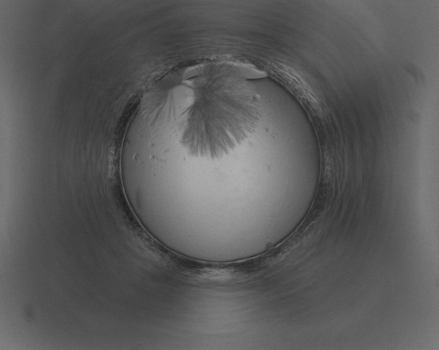 X0000116630457200912241815