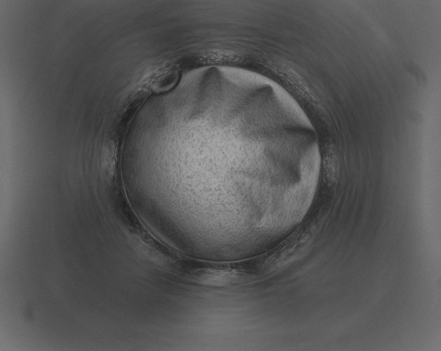 X0000116630458200912241815