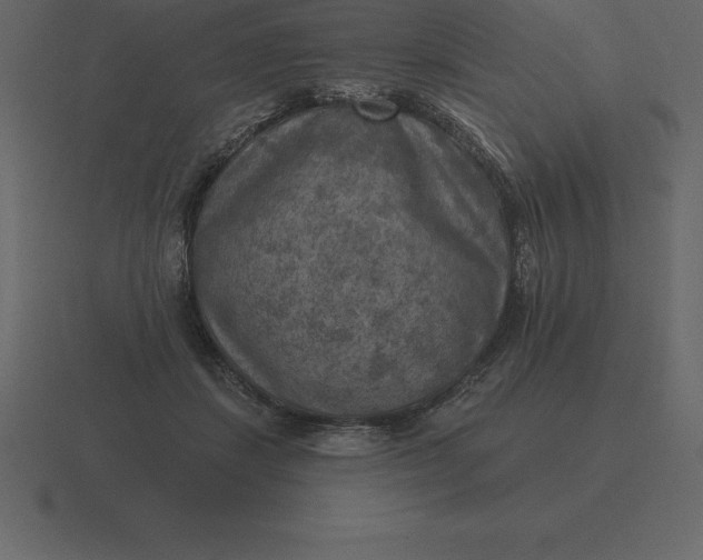 X0000116630459200912241816