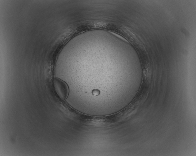 X0000116630462200912241816