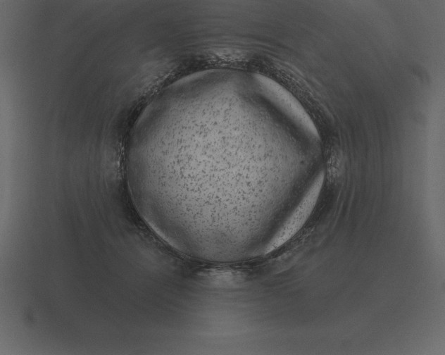 X0000116630464200912241816