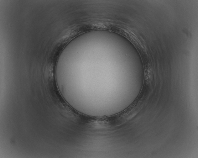 X0000116630466200912241816