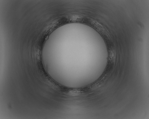 X0000116630470200912241816