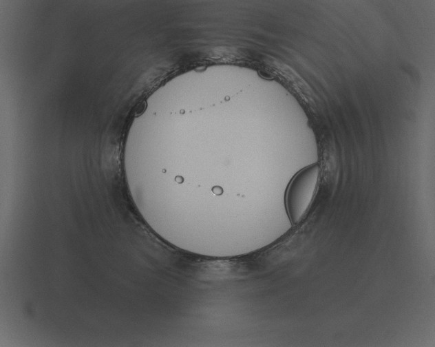 X0000116630473200912241816