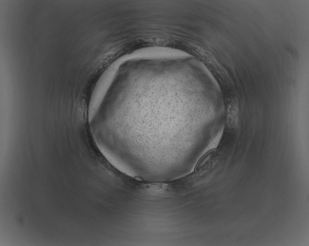 X0000116630474200912241816