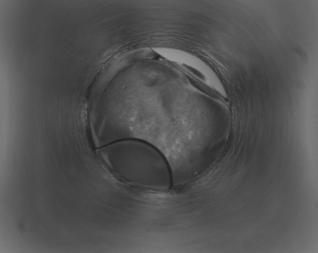 X0000116630475200912241816