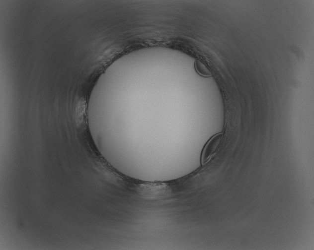 X0000116630480200912241816